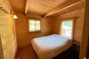 10000 Forest Rd 169, Red Feather Lakes, CO 80545 - Photo 8