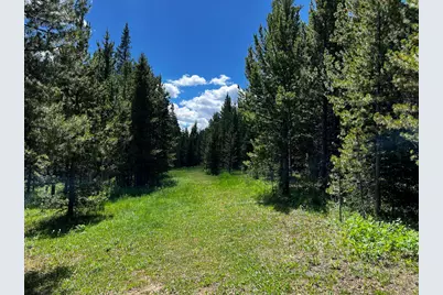 10000 Forest Rd 169, Red Feather Lakes, CO 80545 - Photo 16
