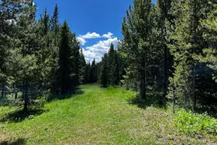 10000 Forest Rd 169, Red Feather Lakes, CO 80545 - Photo 16