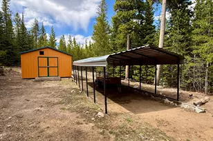 10000 Forest Rd 169, Red Feather Lakes, CO 80545 - Photo 24