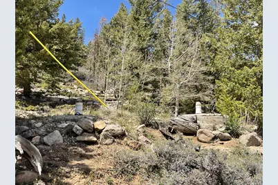 194 Mattapony Way, Red Feather Lakes, CO 80545 - Photo 26