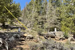 194 Mattapony Way, Red Feather Lakes, CO 80545 - Photo 26