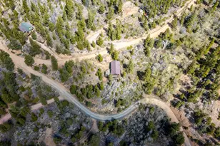 194 Mattapony Way, Red Feather Lakes, CO 80545 - Photo 42