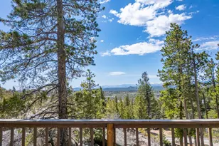 194 Mattapony Way, Red Feather Lakes, CO 80545 - Photo 36