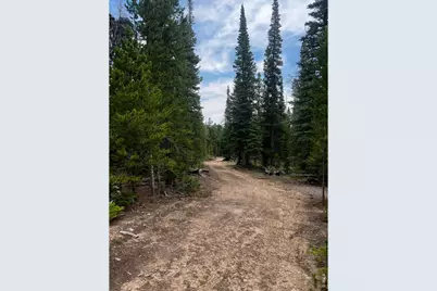 [Address not provided], Red Feather Lakes, CO 80545 - Photo 8