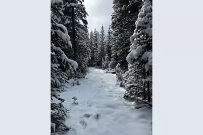 [Address not provided], Red Feather Lakes, CO 80545 - Photo 18