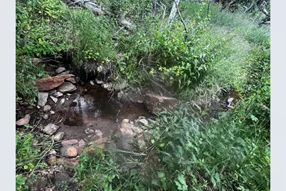[Address not provided], Red Feather Lakes, CO 80545 - Photo 4