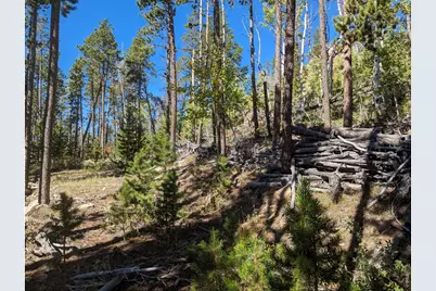 2784 Osage Trl, Red Feather Lakes, CO 80545 - Photo 12