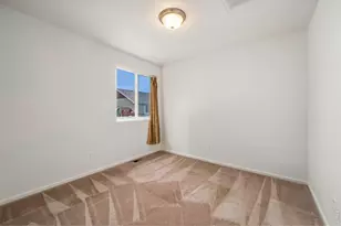 3783 Mt Hope St, Wellington, CO 80549 - Photo 8