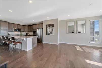 3648 Cerf Way, Castle Rock, CO 80109 - Photo 8