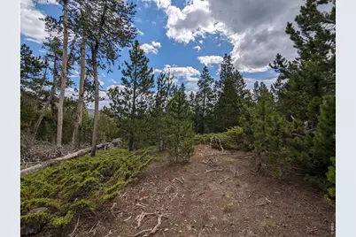 90 Quapaw Ct, Red Feather Lakes, CO 80545 - Photo 12