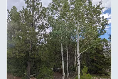 90 Quapaw Ct, Red Feather Lakes, CO 80545 - Photo 2