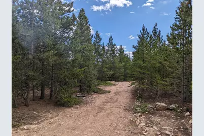 90 Quapaw Ct, Red Feather Lakes, CO 80545 - Photo 6