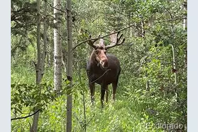 746 Riverside Dr, Lyons, CO 80540 - Photo 40