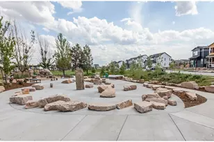 5473 Drehle St, Timnath, CO 80547 - Photo 44