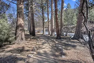 650 Park River Pl, Estes Park, CO 80517 - Photo 46