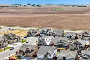 2336 Golden Wy, Windsor, CO 80550 - Photo 36