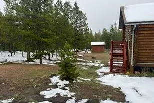 321 Shasta Way, Red Feather Lakes, CO 80545 - Photo 32