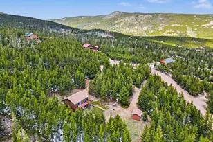 321 Shasta Way, Red Feather Lakes, CO 80545 - Photo 22