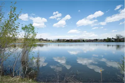 5053 W County Road 20, Loveland, CO 80537 - Photo 4