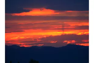 7853 Cherry Blossom Dr, Windsor, CO 80550 - Photo 48