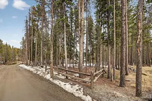 240 Deer Rd, Evergreen, CO 80439 - Photo 18