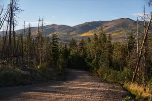 777 Powder Horn Trail, Bellvue, CO 80512 - Photo 36