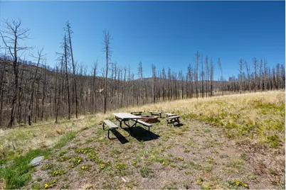 777 Powder Horn Trl, Bellvue, CO 80512 - Photo 24