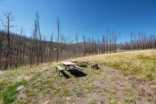 777 Powder Horn Trail, Bellvue, CO 80512 - Photo 24