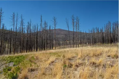 777 Powder Horn Trl, Bellvue, CO 80512 - Photo 40