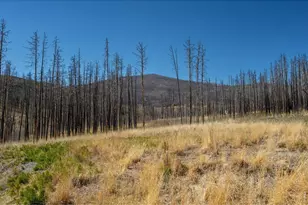 777 Powder Horn Trail, Bellvue, CO 80512 - Photo 40