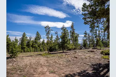 297 Manso Way, Red Feather Lakes, CO 80545 - Photo 8