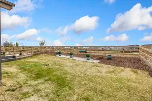 955 Rustling St, Windsor, CO 80550 - Photo 30