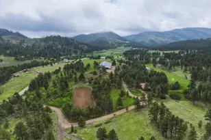 89 Aspen Leaf Ln, Bellvue, CO 80512 - Photo 38