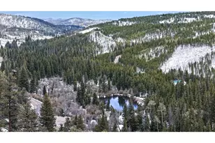 296 Elkridge Rd, Red Feather Lakes, CO 80545 - Photo 44