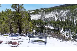 296 Elkridge Rd, Red Feather Lakes, CO 80545 - Photo 42