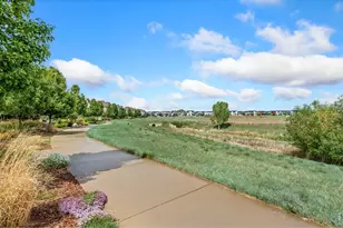 302 Skyraider Way, Fort Collins, CO 80524 - Photo 36