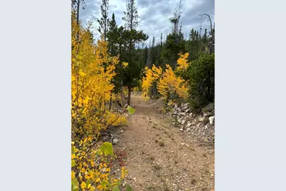 540 Elkridge Rd, Red Feather Lakes, CO 80545 - Photo 10