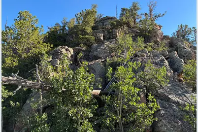 540 Elkridge Rd, Red Feather Lakes, CO 80545 - Photo 8