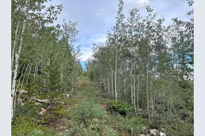 540 Elkridge Rd, Red Feather Lakes, CO 80545 - Photo 16