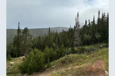 540 Elkridge Rd, Red Feather Lakes, CO 80545 - Photo 2