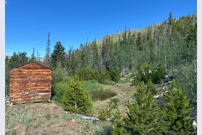 540 Elkridge Rd, Red Feather Lakes, CO 80545 - Photo 12