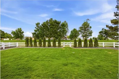 108 Whitney Bay, Windsor, CO 80550 - Photo 38