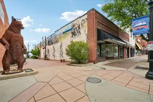 127 E Saint Clair Ave, Longmont, CO 80504 - Photo 34