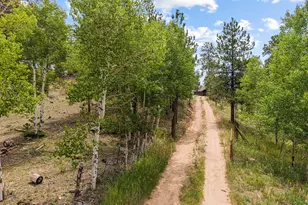 14534 S Wandcrest Dr, Pine, CO 80470 - Photo 34