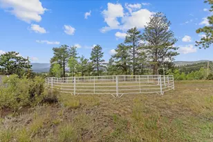 14534 S Wandcrest Dr, Pine, CO 80470 - Photo 44