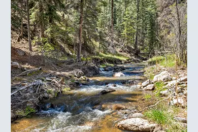 0 Fisherman Ln, Glen Haven, CO 80532 - Photo 4
