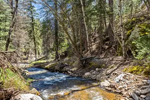 0 Fisherman Ln, Glen Haven, CO 80532 - Photo 1