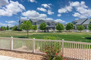 8446 Annapolis Dr, Windsor, CO 80528 - Photo 26