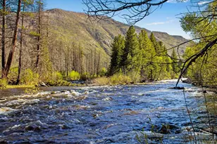44174 Poudre Canyon Rd, Bellvue, CO 80512 - Photo 4